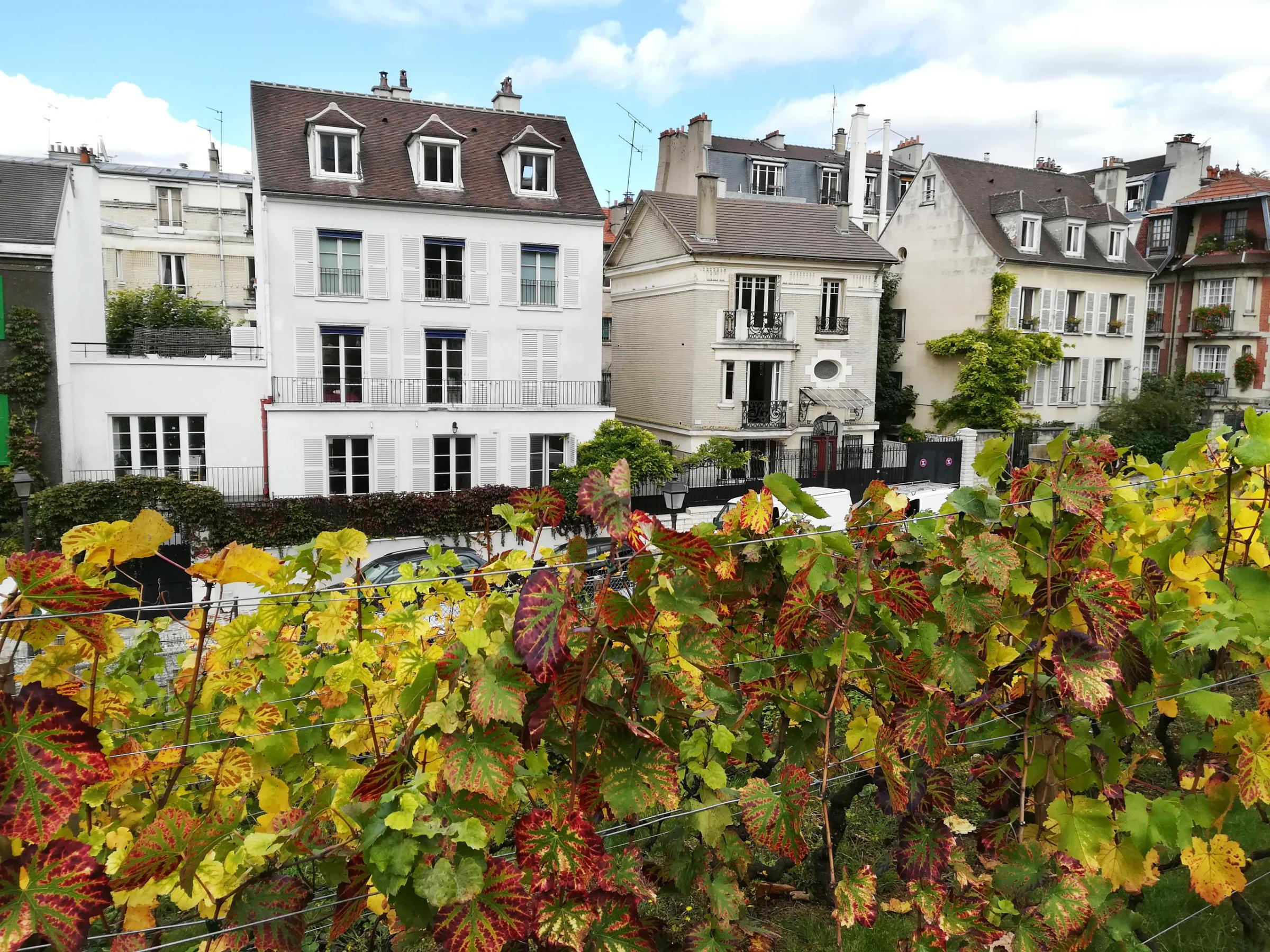 Row of houses in French neighborhood
