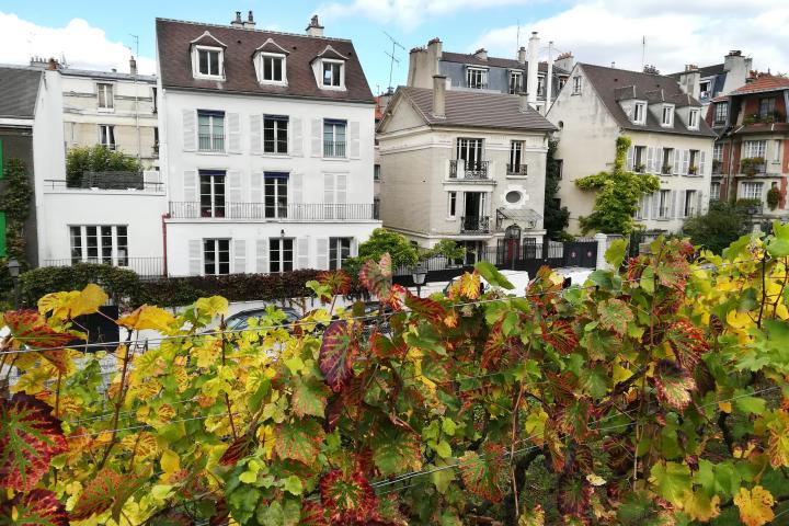 Row of houses in French neighborhood