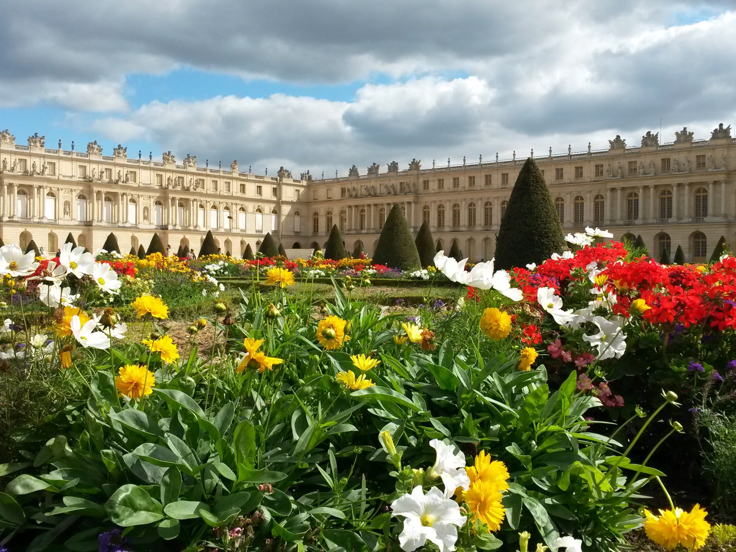Flowers with castle behind