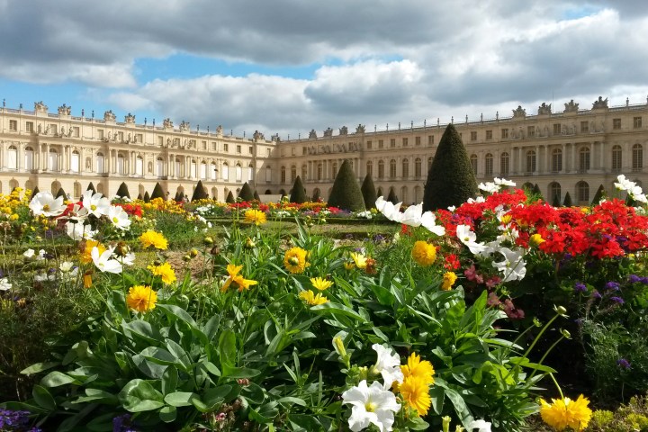 Flowers with castle behind